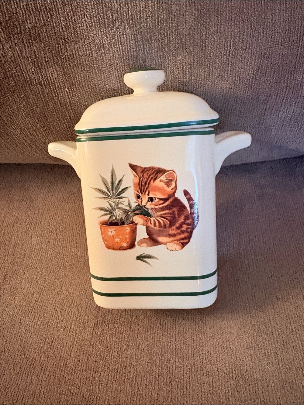 Urban Outfitters White Ceramic Canister with Green Trim and Kitten Illustration